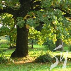 �� ������ ������� �������������� ���� ������ ������� ����� ����� 